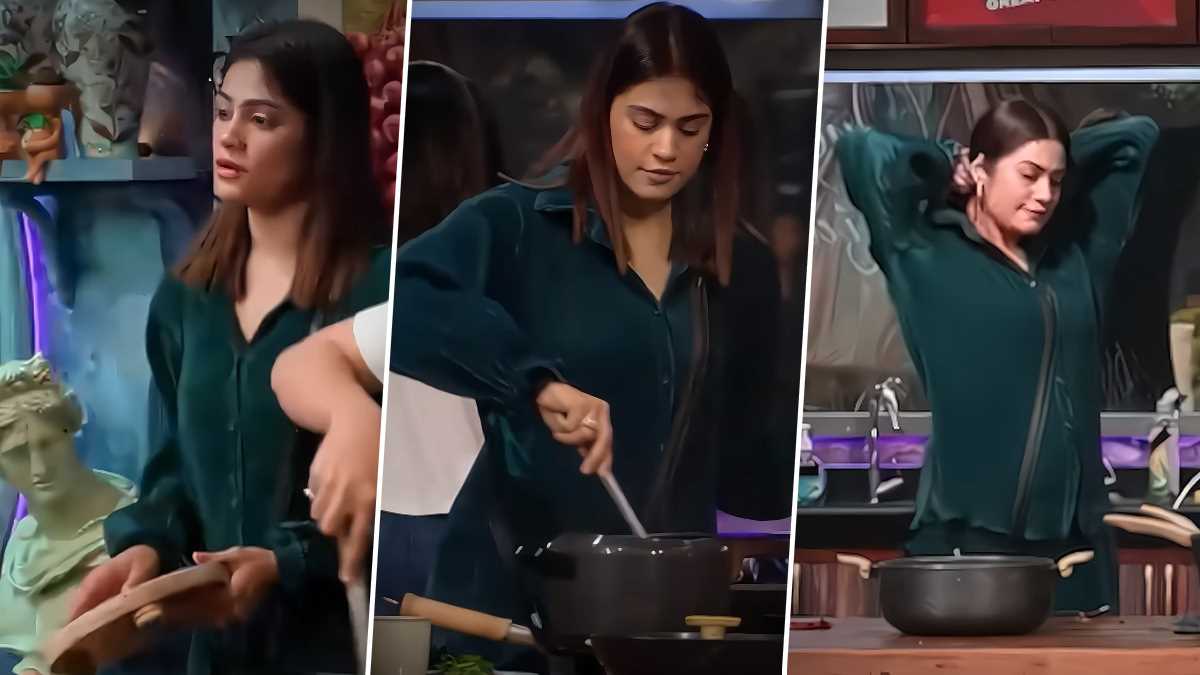 ‘बिग बॉस ओटीटी 3’: कृतिका मलिक ने नॉमिनेशन पर नेजी को कहा बेवकूफ’